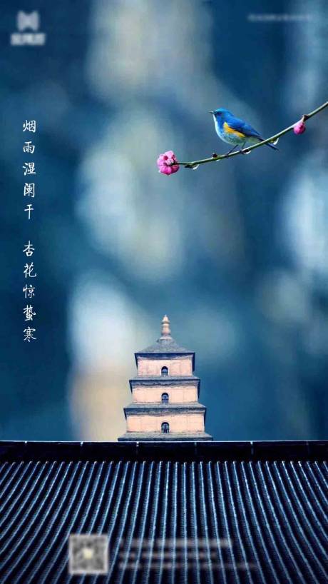源文件下载【惊蛰海报】编号：48000006080598423