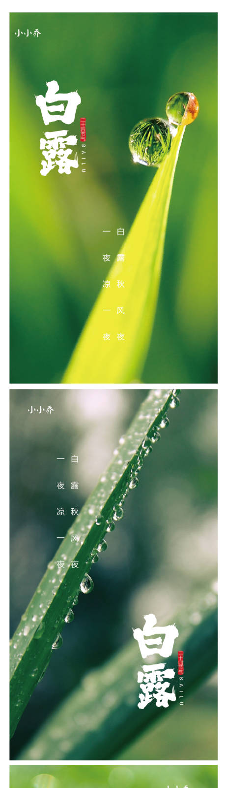 源文件下载【白露】编号：42880006210266325