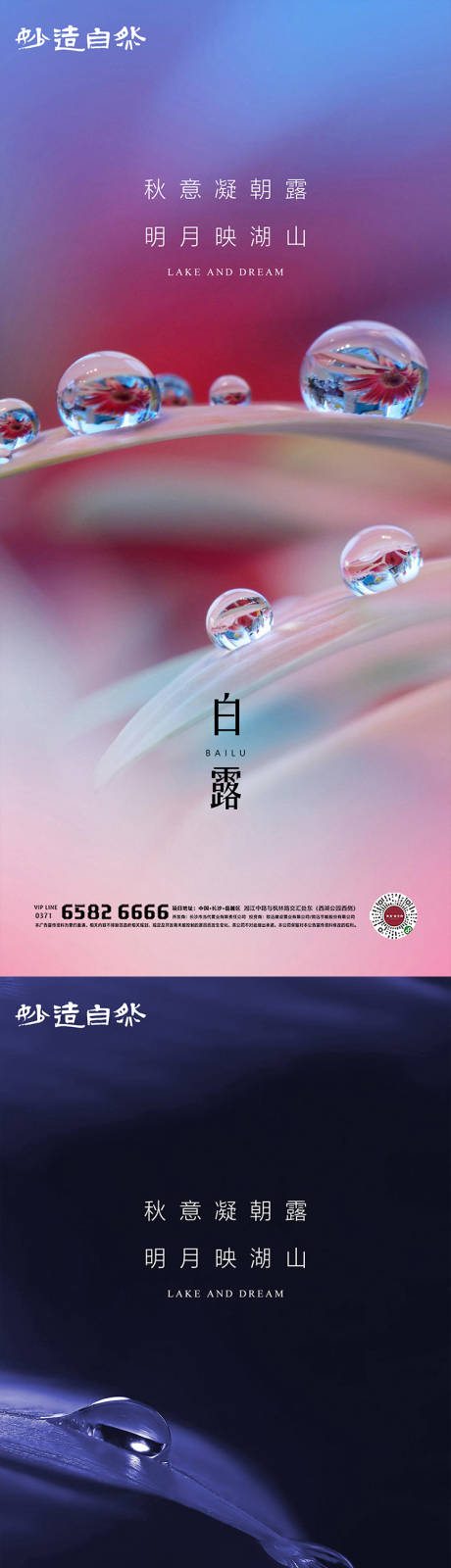 源文件下载【白露节气系列海报】编号：56020006187845607