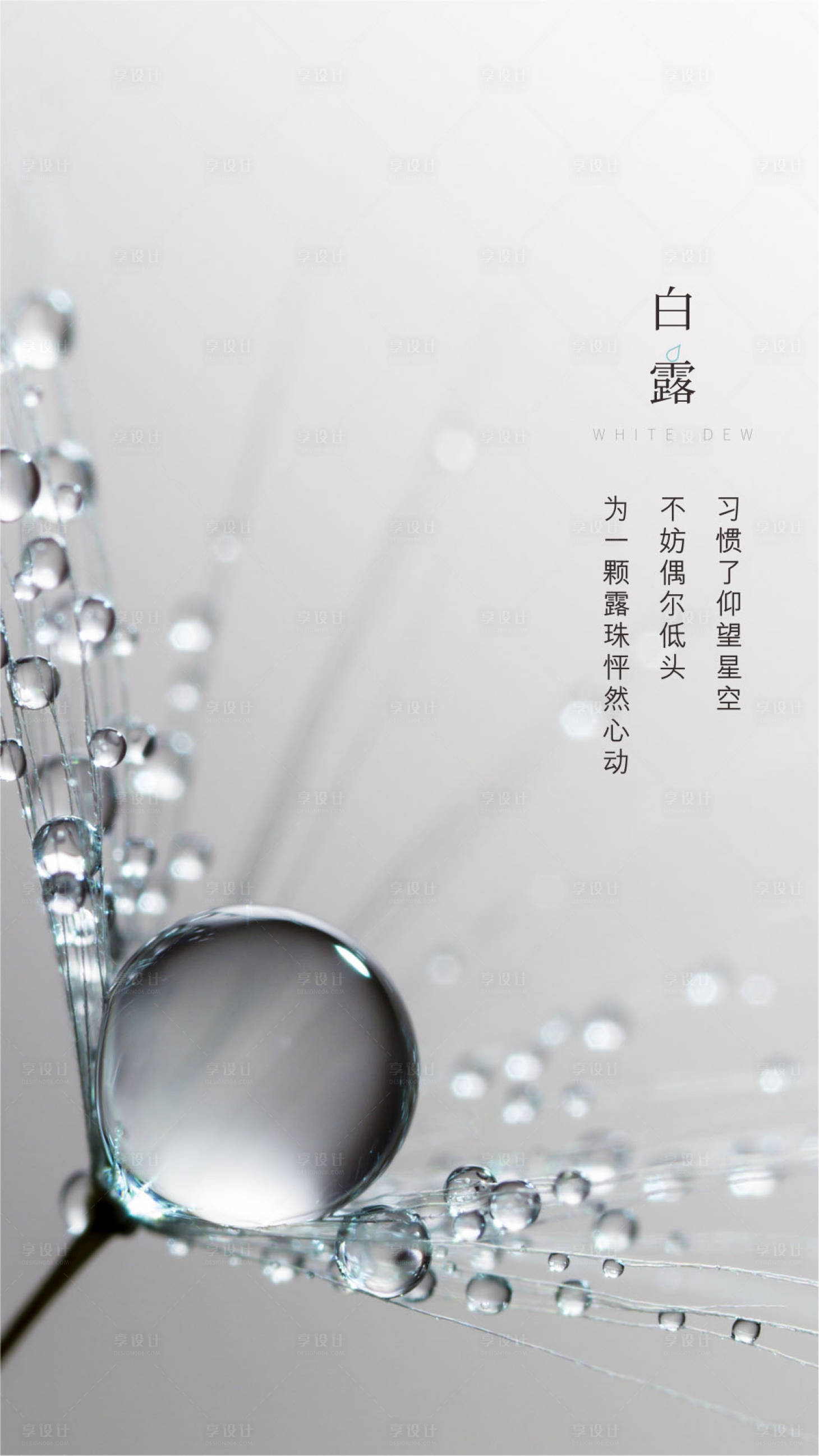 源文件下载【白露节气海报】编号：89420005997998410