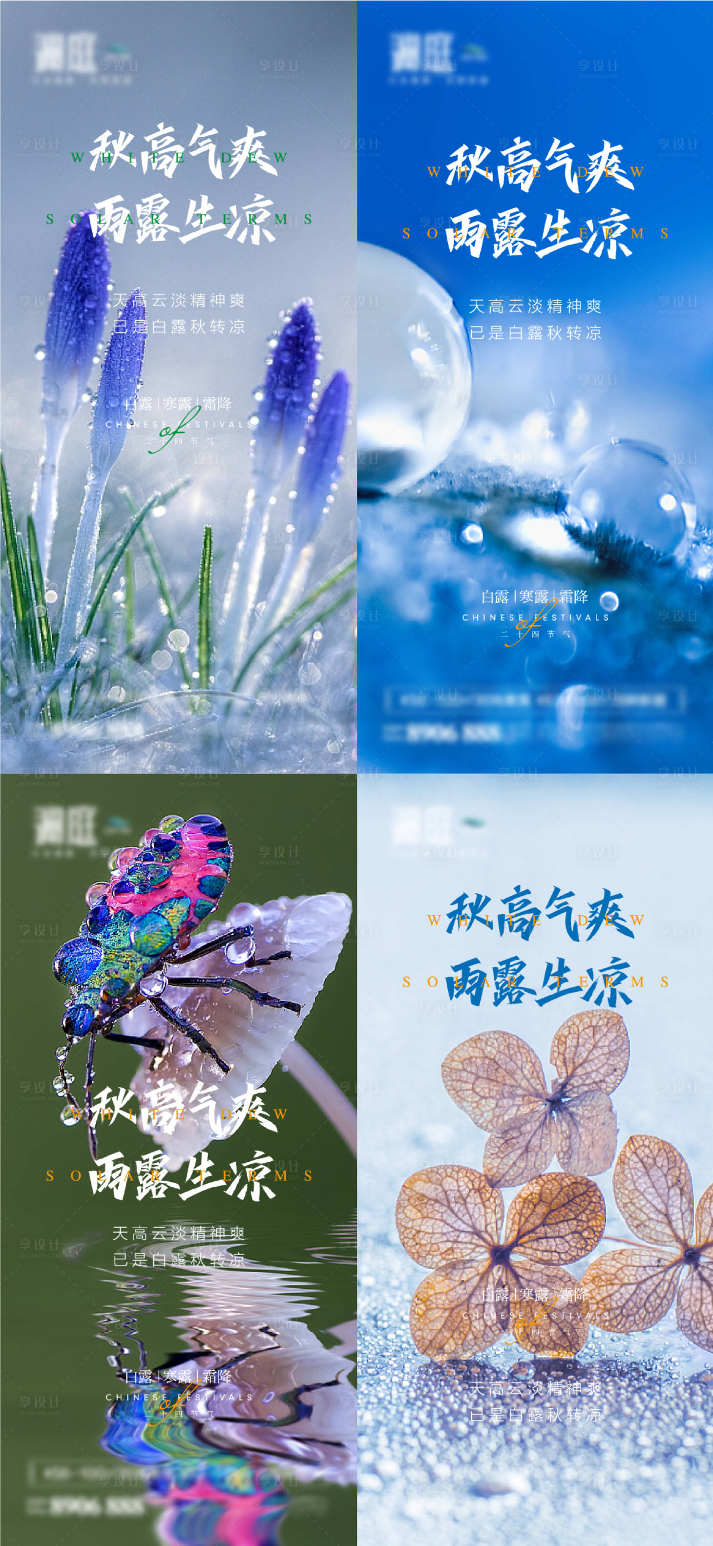 源文件下载【白露寒露霜降节气宣传海报】编号：78650006016453210