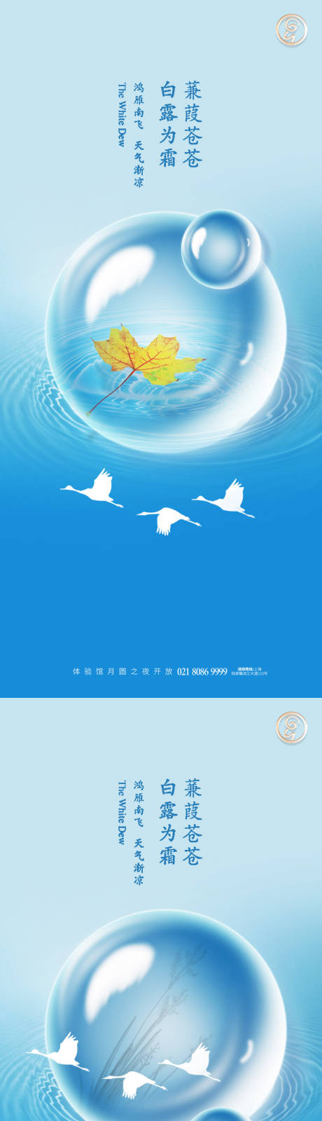 源文件下载【白露节气秀稿】编号：16610006152352874