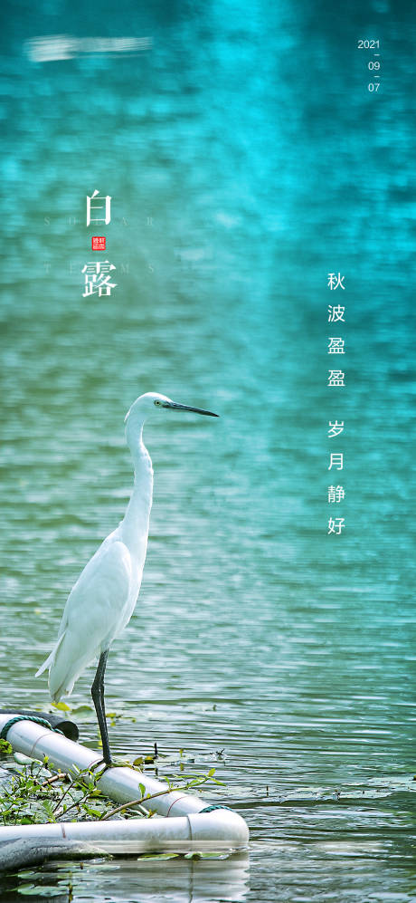 源文件下載【白露】編號：62390006198383962
