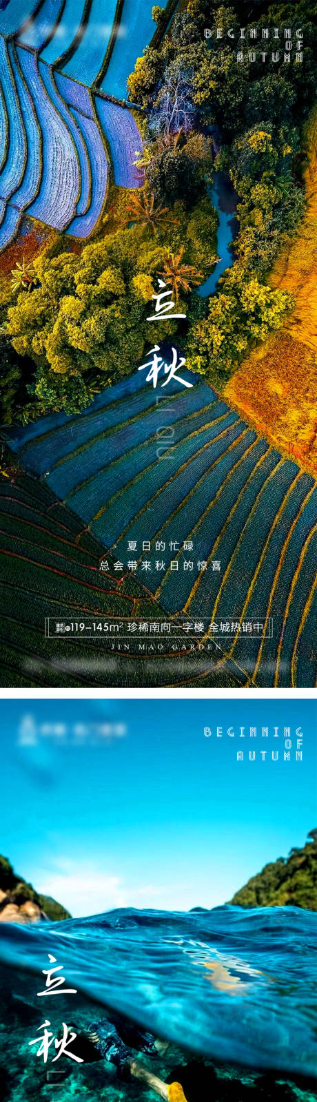 源文件下载【立秋节气海报】编号：24160005890258402