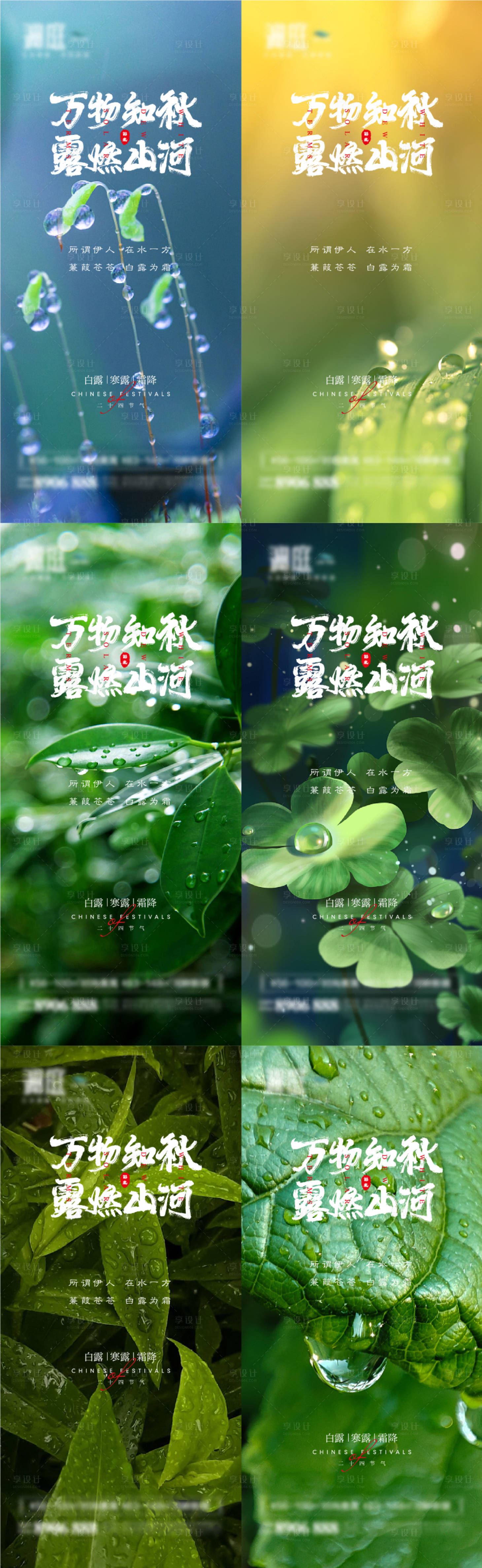 源文件下載【享設(shè)計(jì)】搜索編號(hào)：99110006021619159【白露寒露霜降節(jié)氣海報(bào)】