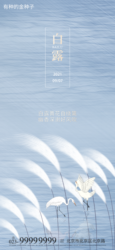 源文件下载【享设计】搜索编号：25910006271018395【白露节气海报】