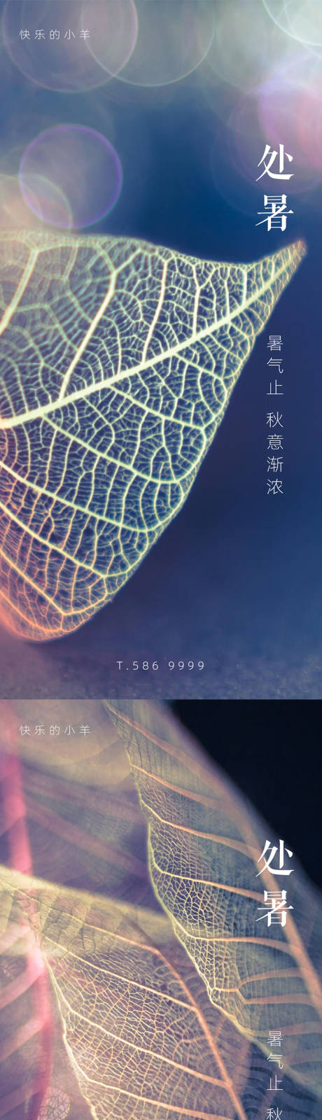 源文件下载【处暑节气海报】编号：87210005860067822