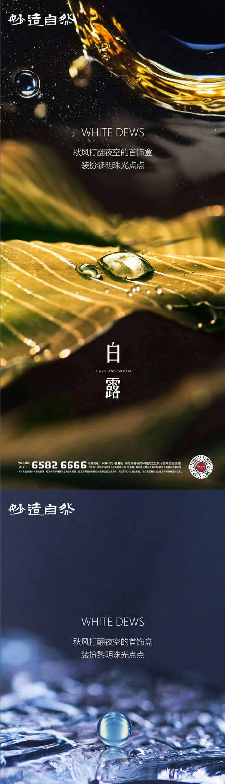 源文件下載【享設計】搜索編號：43030006187898281【白露節氣系列海報】