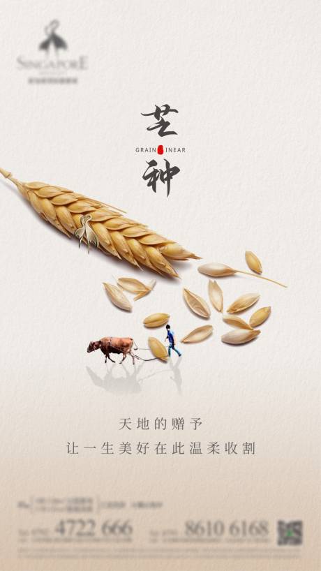 源文件下载【芒种海报 】编号：64000006094994408