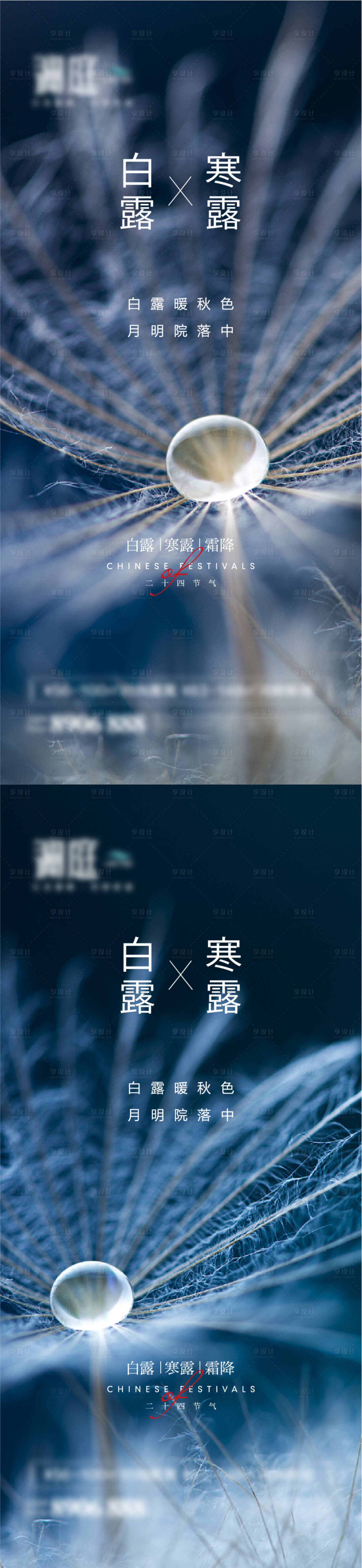 源文件下载【白露寒露霜降节气宣传海报】编号：96210006007971387