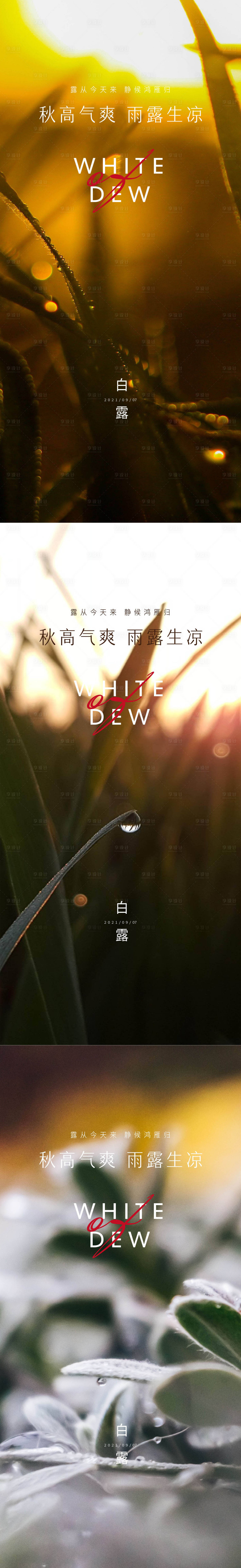 源文件下载【白露节气系列海报】编号：42030006193667997