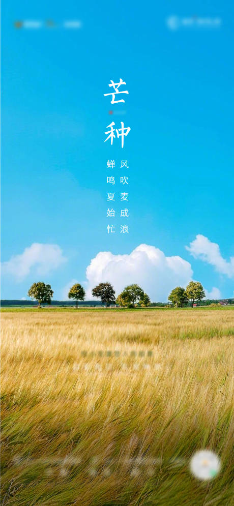 源文件下载【享设计】搜索编号：33620006181953137【芒种海报】