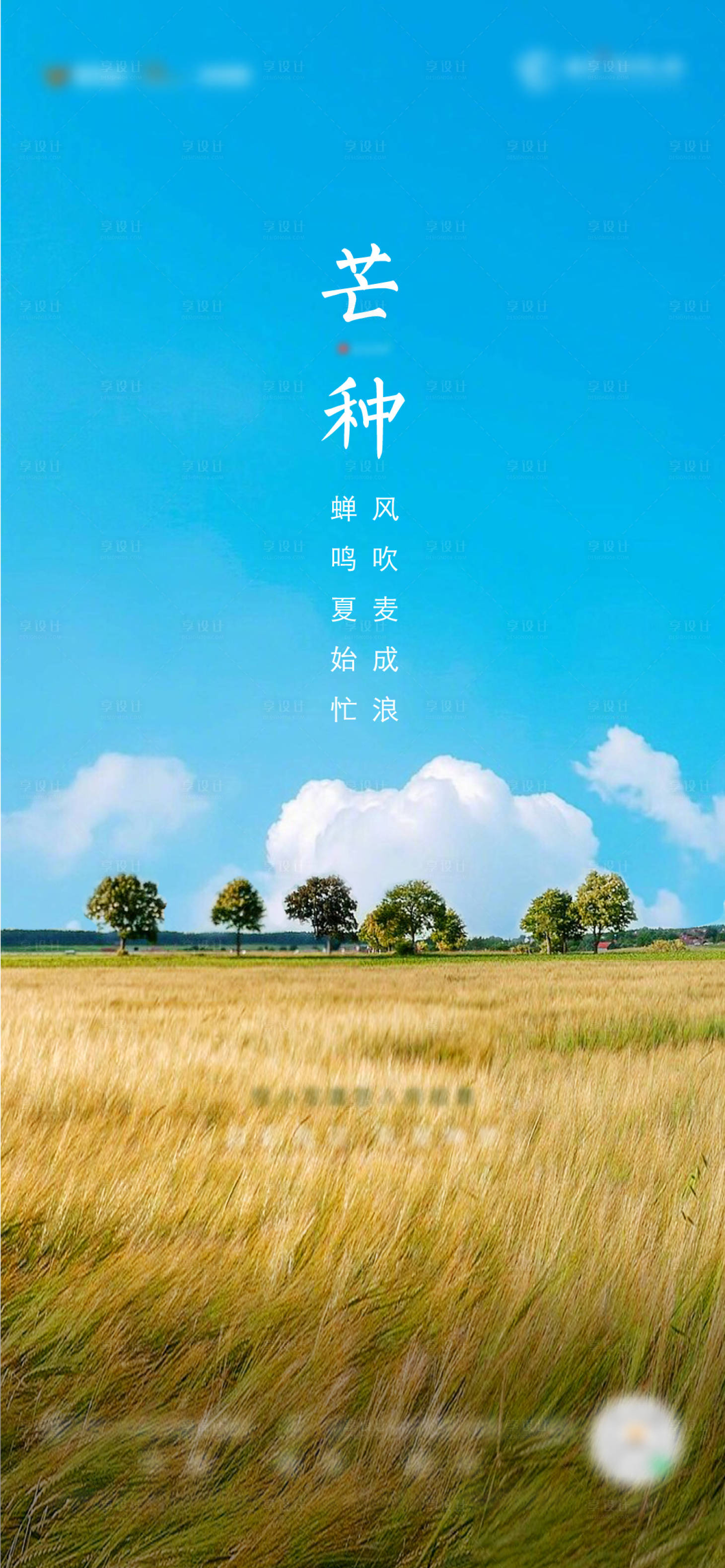 源文件下载【芒种海报】编号：33620006181953137