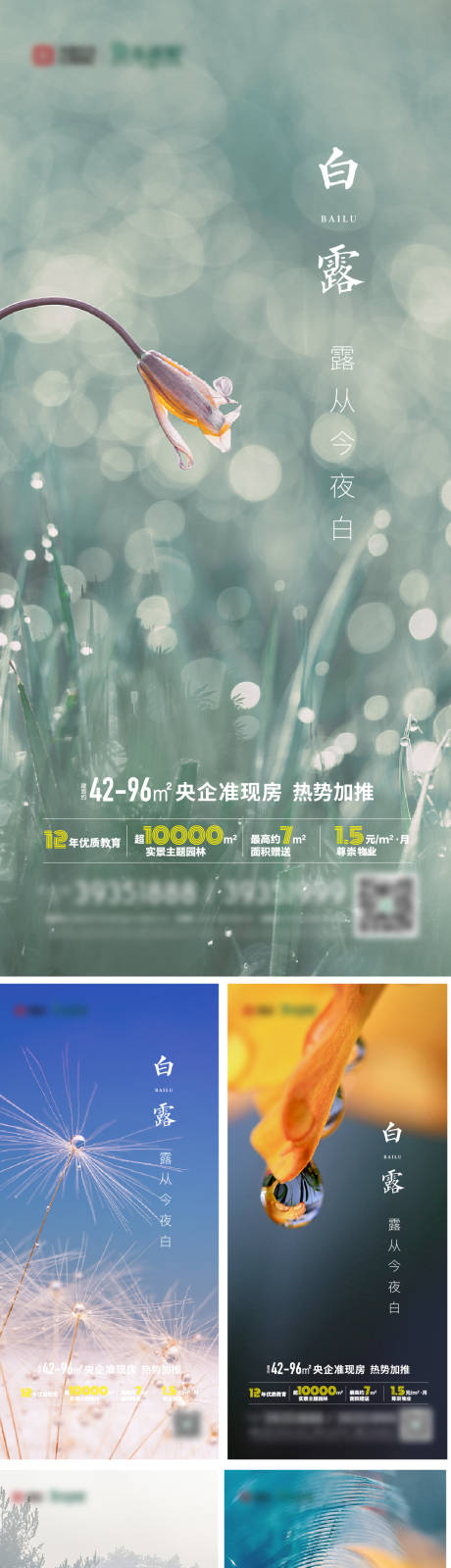 源文件下載【地產白露系列海報】編號：68870006098432570