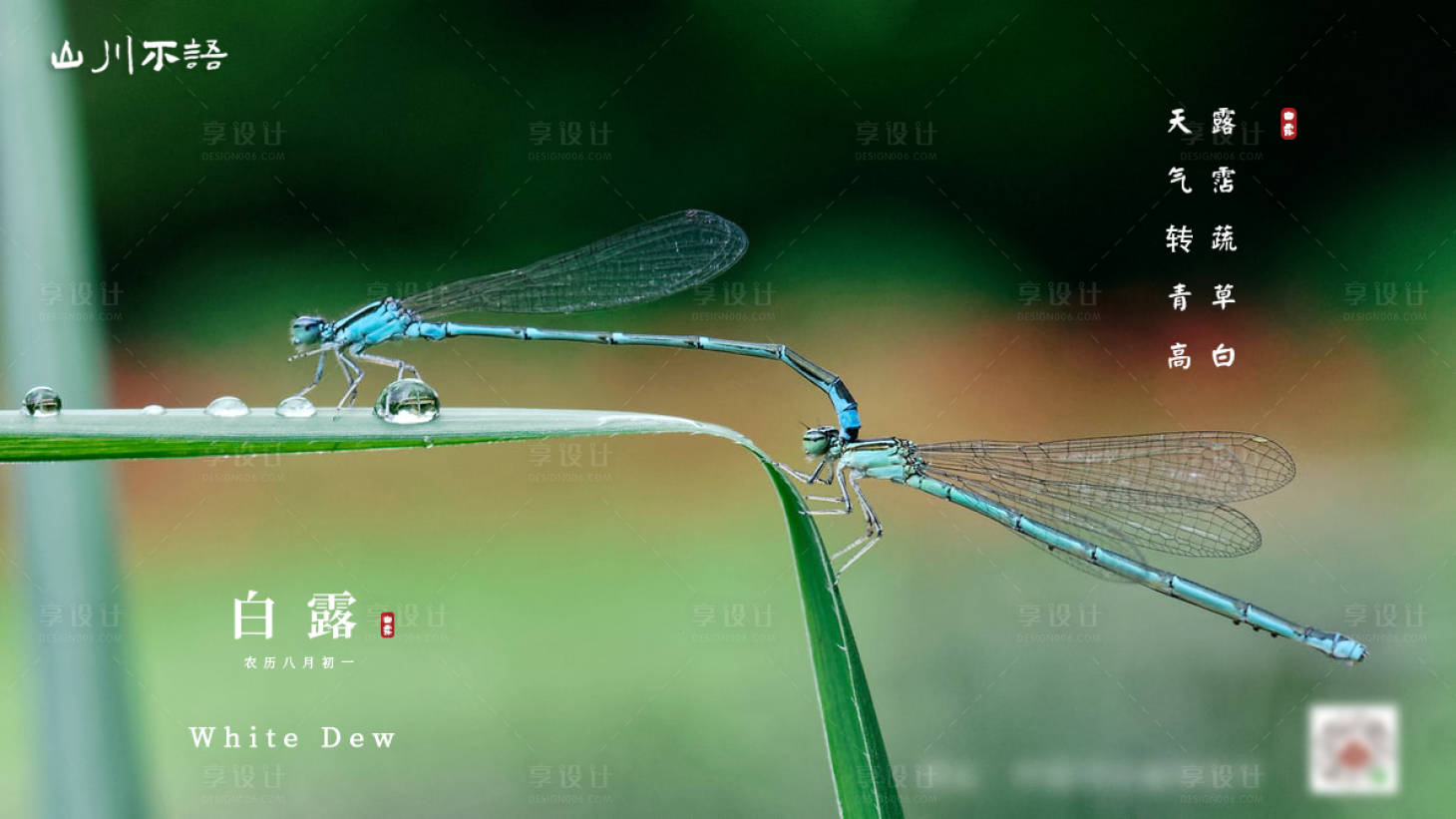 源文件下載【享設(shè)計(jì)】搜索編號(hào)：97010006164714158【白露節(jié)氣橫版海報(bào)】