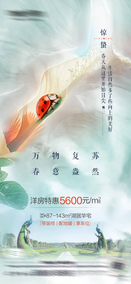 源文件下载【地产凤凰惊蛰节气价值点海报】编号：70310006083076476