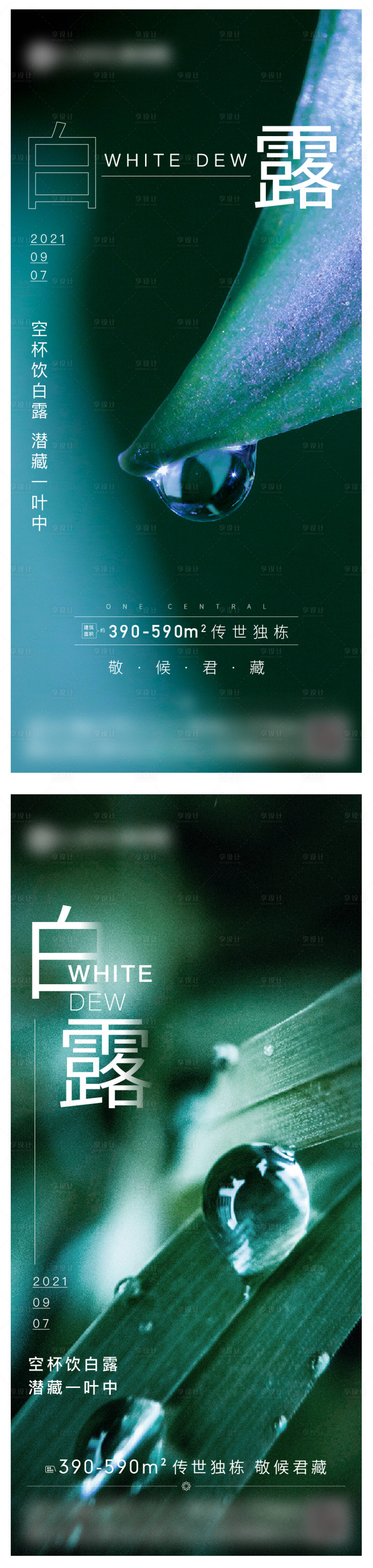 源文件下载【白露节气系列海报】编号：82870006223649823