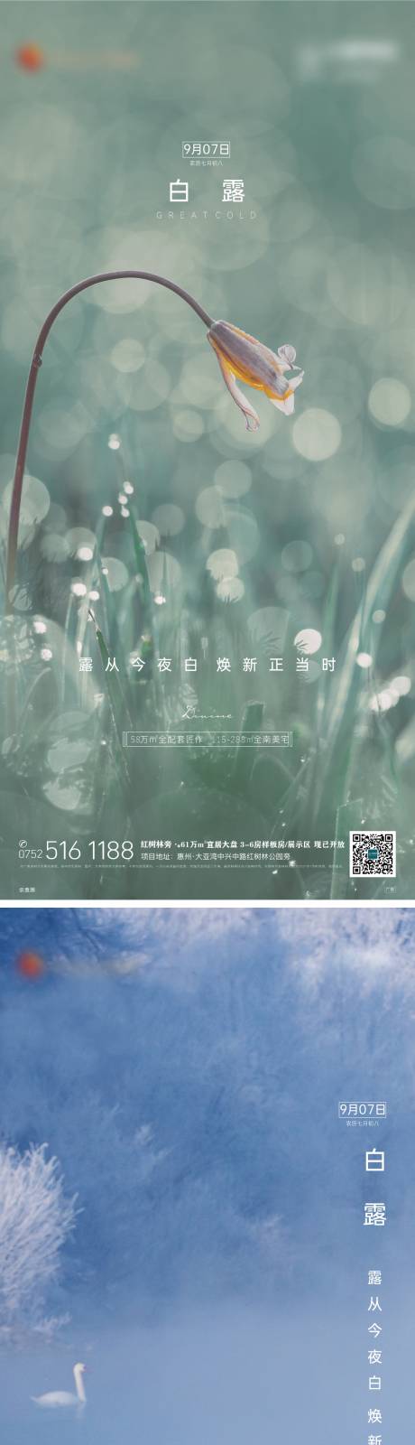 源文件下载【白露节气】编号：51320006210934552