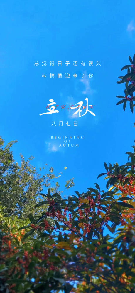 源文件下载【立秋节气移动端海报】编号：35210005930199813