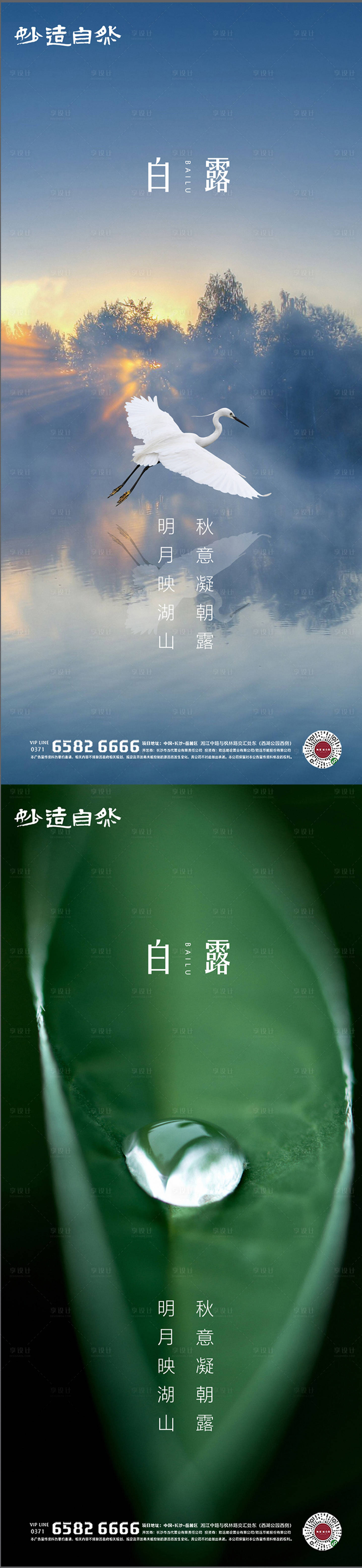 源文件下载【白露节气海报】编号：93470006202704578