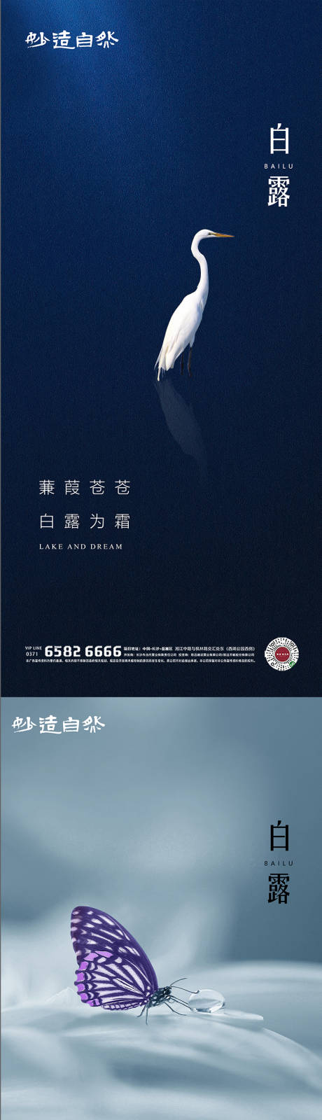 源文件下载【白露节气系列海报】编号：62210006187867768