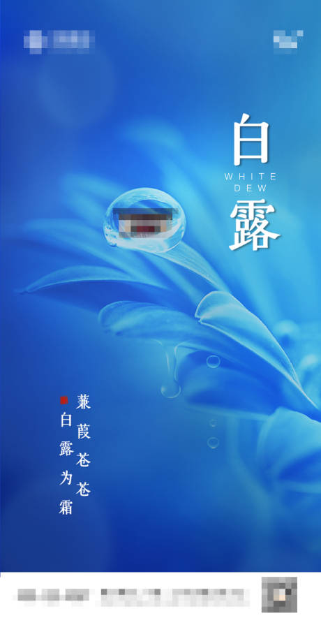 源文件下载【白露节气】编号：84630006277047944