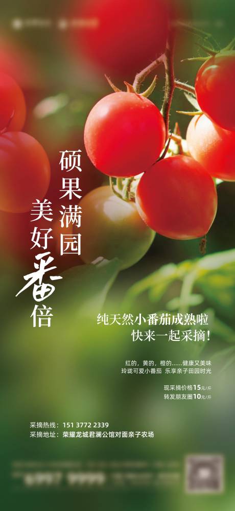 源文件下载【房地产海报(EPS用AI打开)】编号：96030005953411566