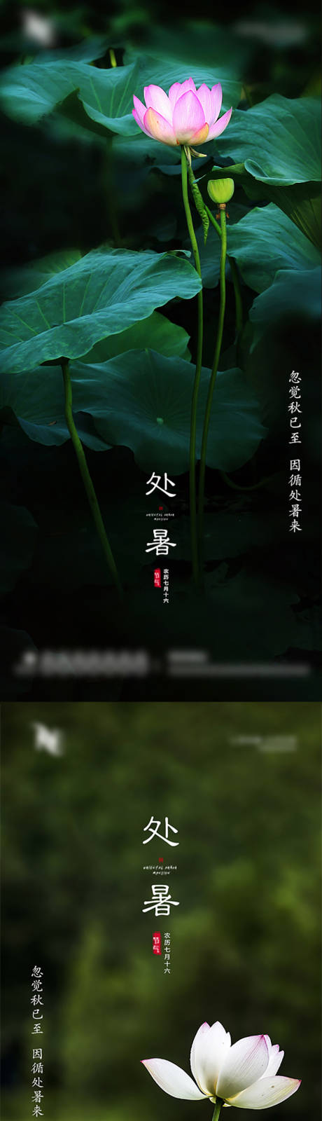源文件下载【地产处暑节气系列海报】编号：99600006044493747