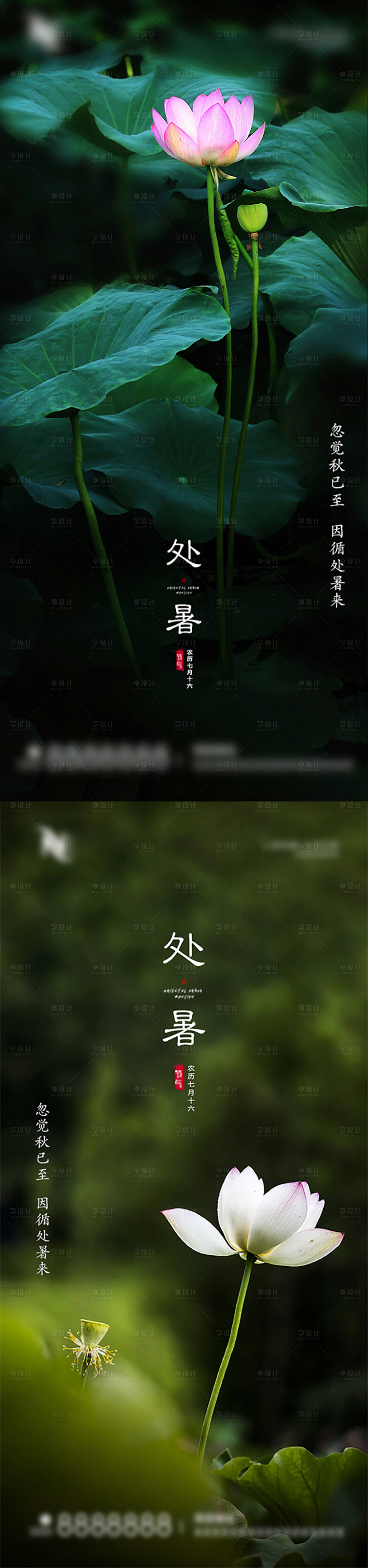 源文件下載【享設計】搜索編號：99600006044493747【地產處暑節氣系列海報】