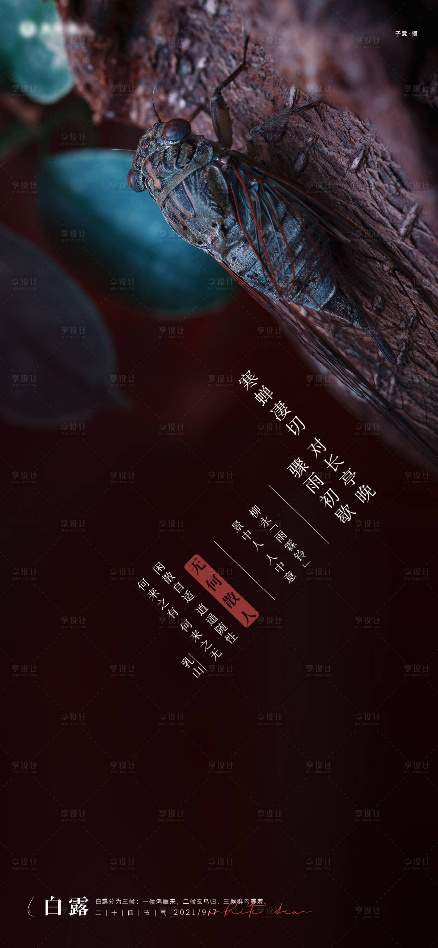 源文件下载【享设计】搜索编号：92160006293415488【白露节气刷屏海报】
