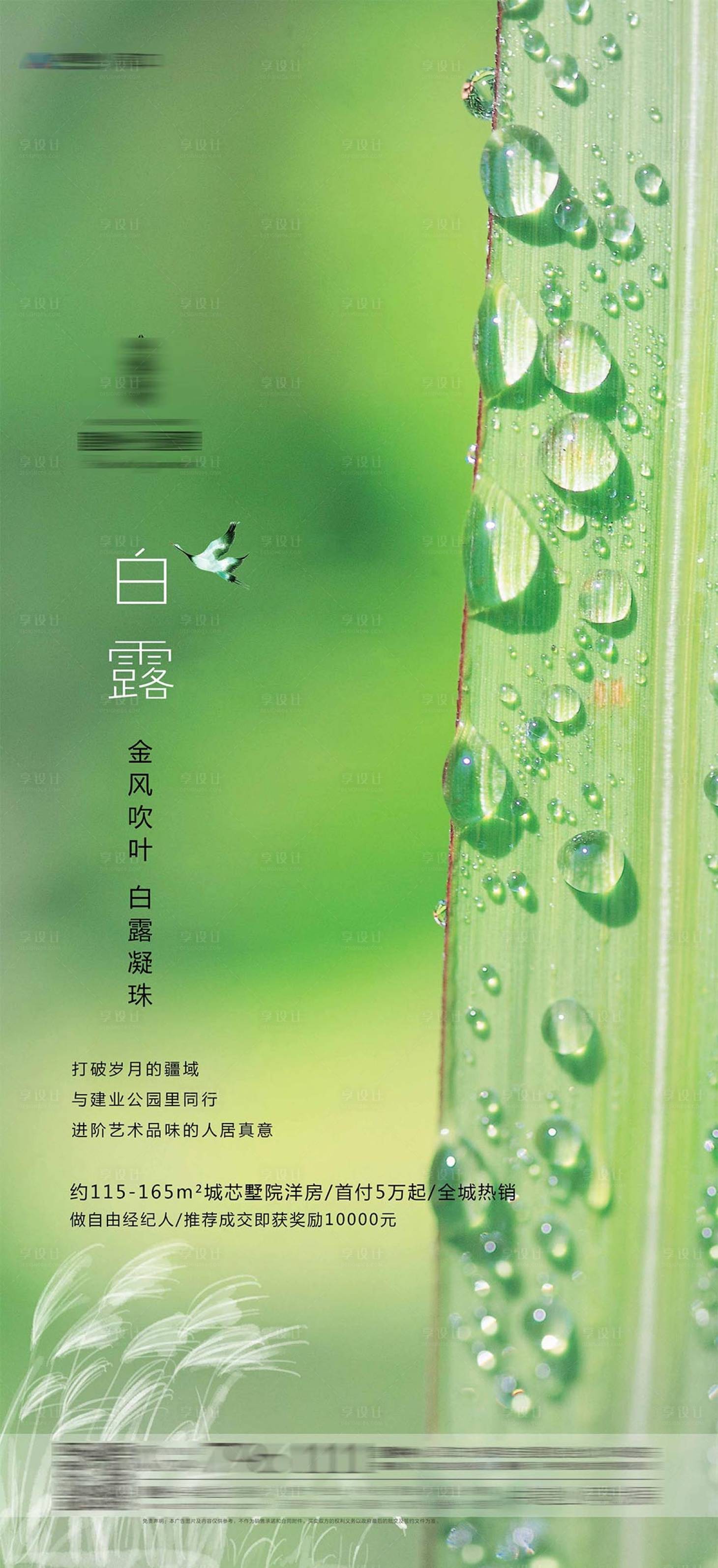 源文件下载【白露节气海报】编号：36000006504545547
