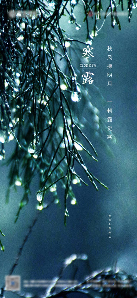 源文件下载【寒露节气海报】编号：57220006687002955