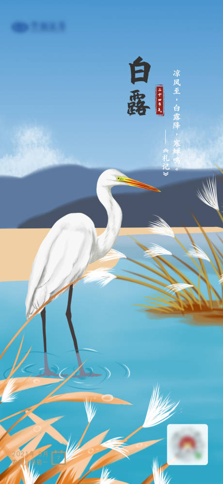 源文件下載【享設計】搜索編號：51690006334001211【白露節氣海報】