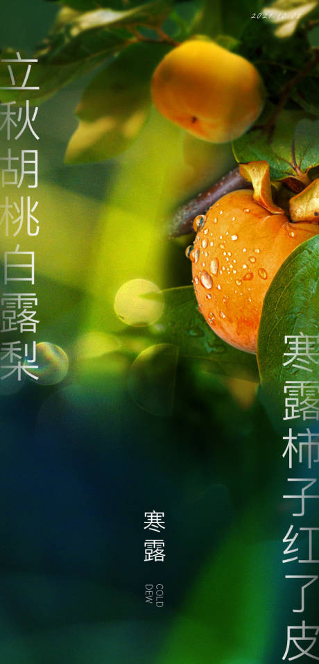 源文件下载【节气寒露海报】编号：60670006588119330