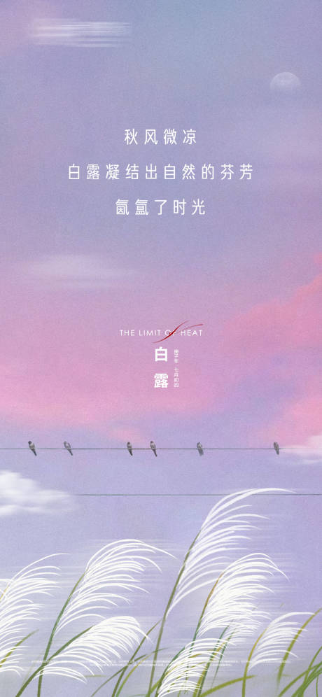 源文件下载【地产白露节气刷屏】编号：84880006299038615