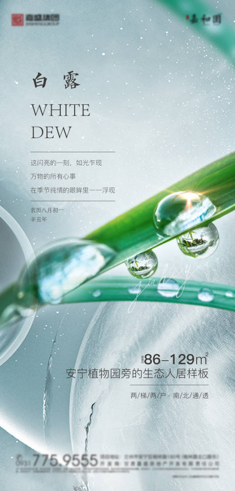源文件下载【地产白露价值微信图】编号：54790006364353300
