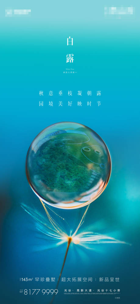 源文件下载【白露节气海报】编号：82940006327748485