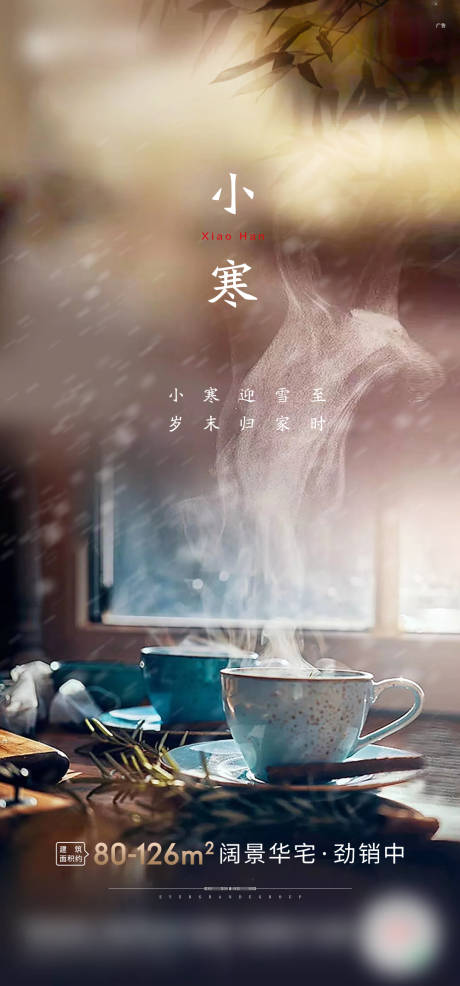 源文件下载【地产小寒节气单图】编号：18640006625719136