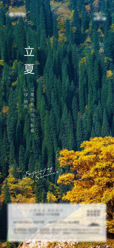 源文件下载【森林立夏节气】编号：40010006617286900