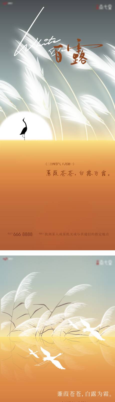 源文件下载【白露芦苇系列海报】编号：98480006351487959
