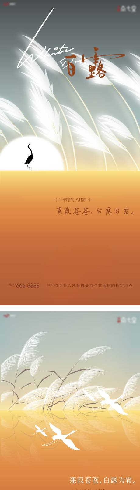 源文件下载【白露芦苇系列海报】编号：20210906134558418