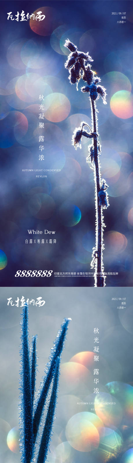 源文件下载【白露 】编号：37420006305193598