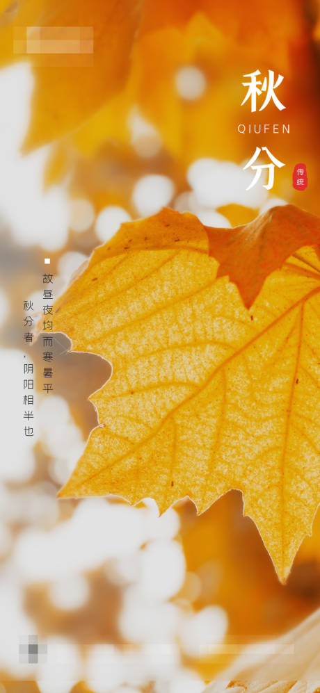 源文件下载【秋分海报】编号：82530006425125872