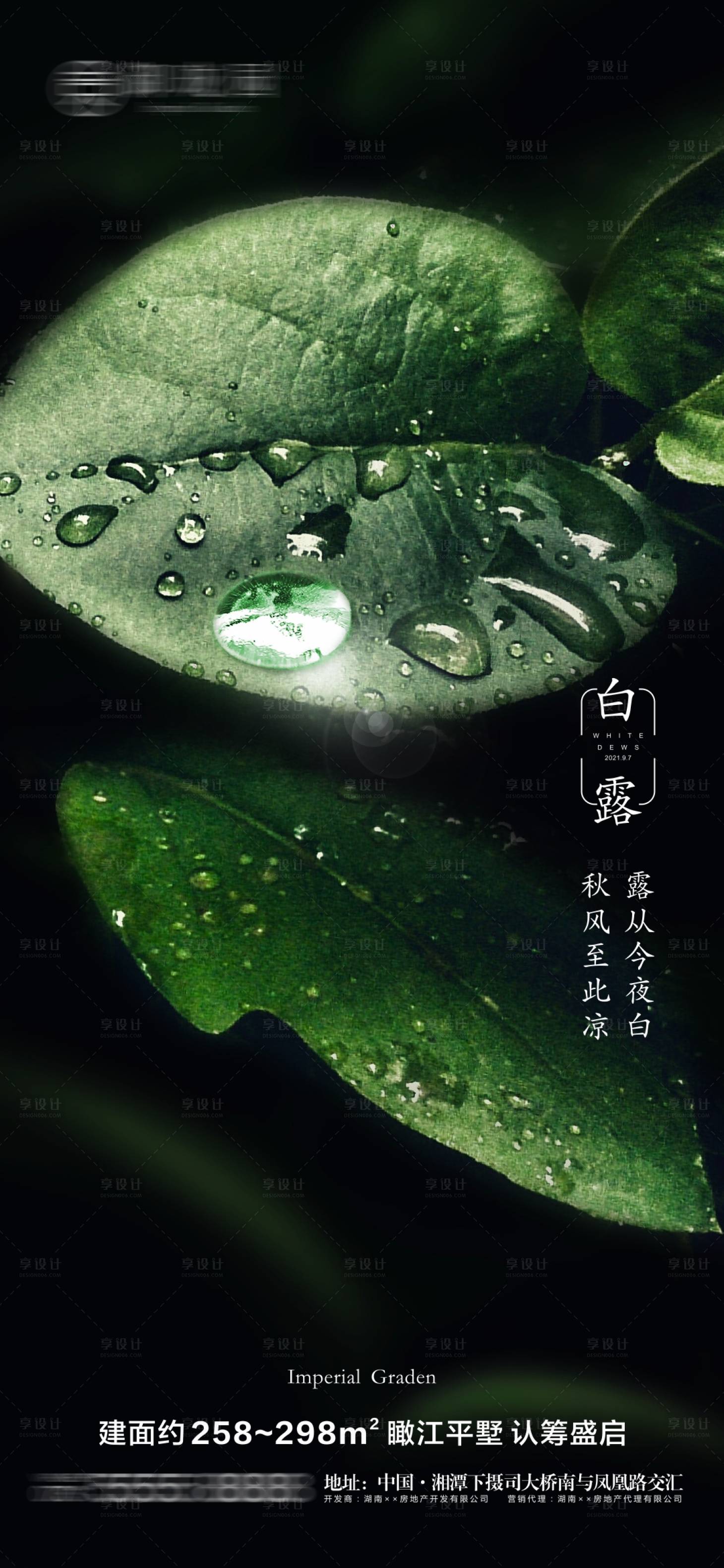 源文件下载【享设计】搜索编号：26200006358585279【地产白露节气微信海报】