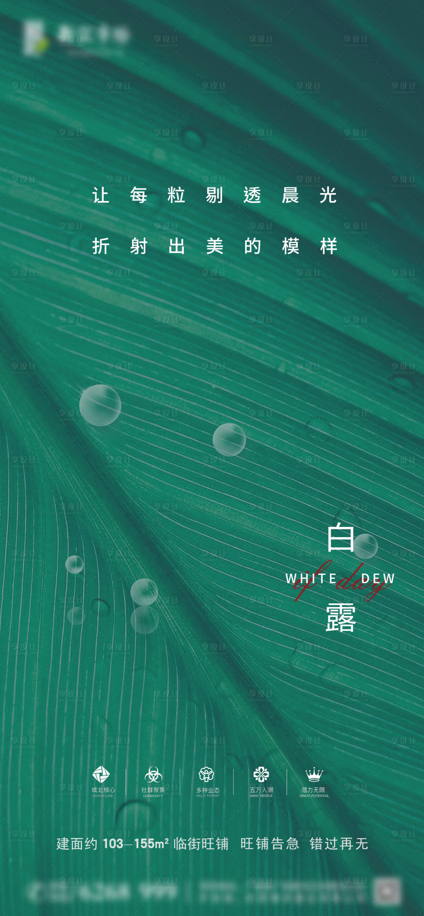 源文件下載【享設計】搜索編號：39800006342843315【白露】