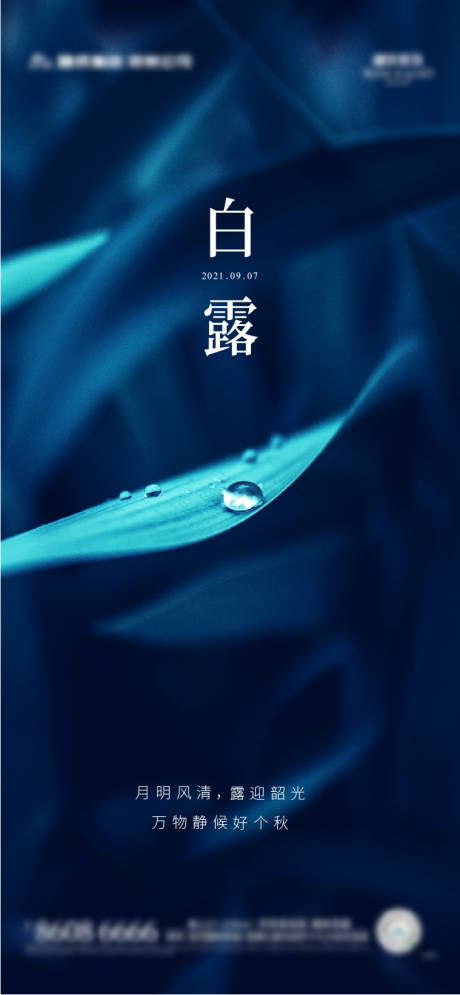 源文件下载【享设计】搜索编号：39610006301455921【白露节气海报】