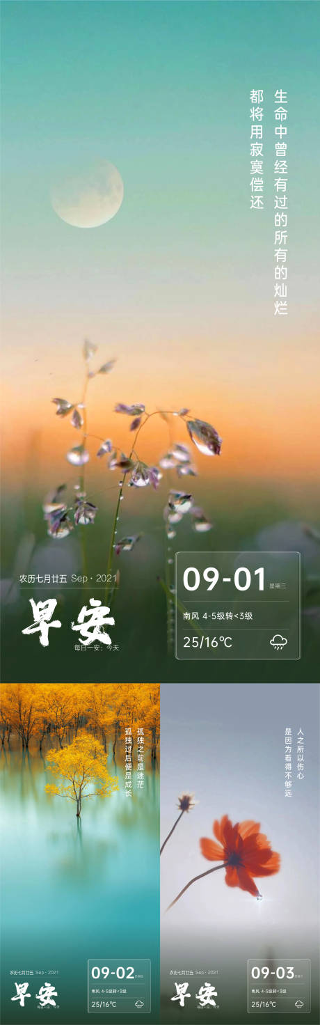 源文件下载【早安日签系列海报】编号：20210901091813373