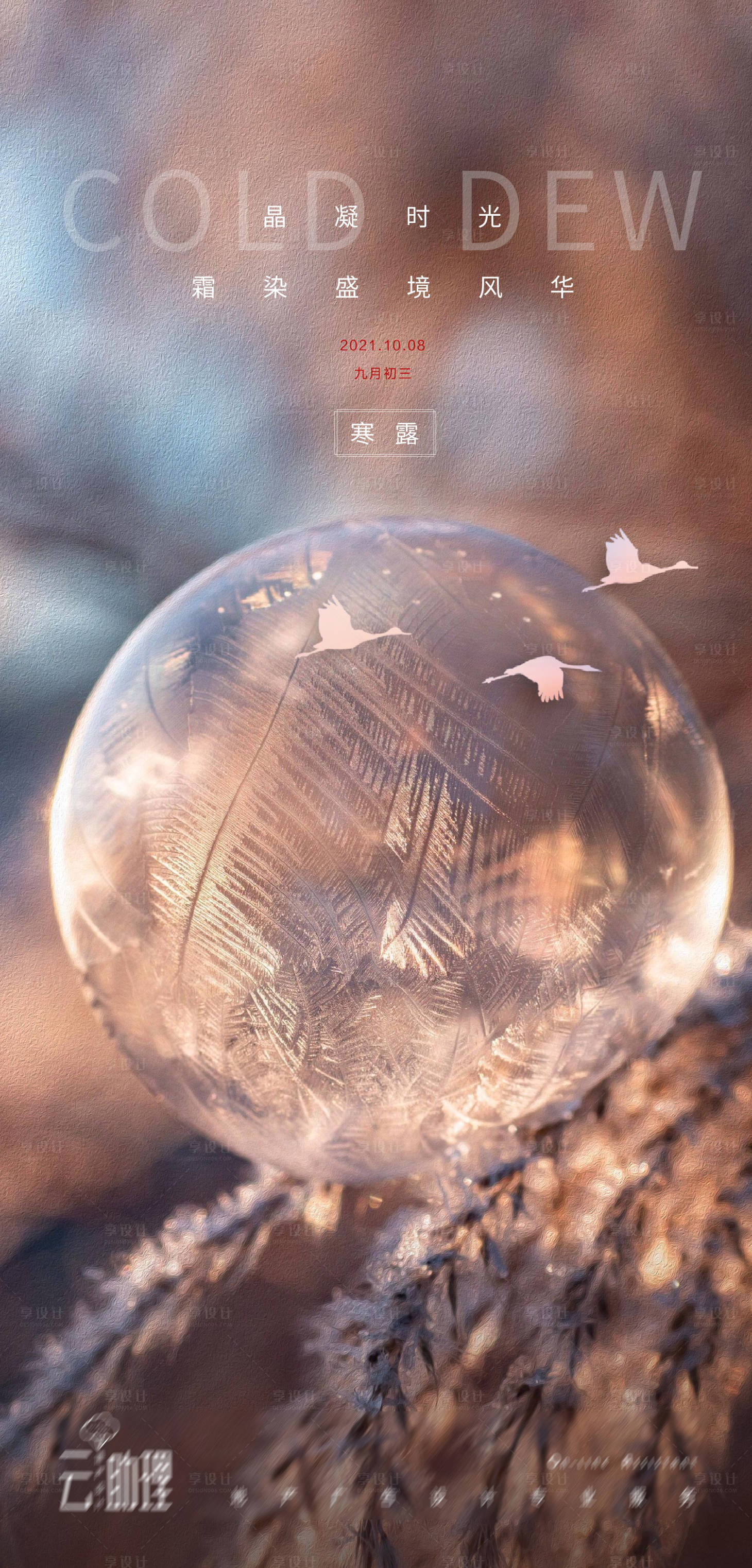 源文件下载【享设计】搜索编号：36710006642078035【寒露唯美海报 】