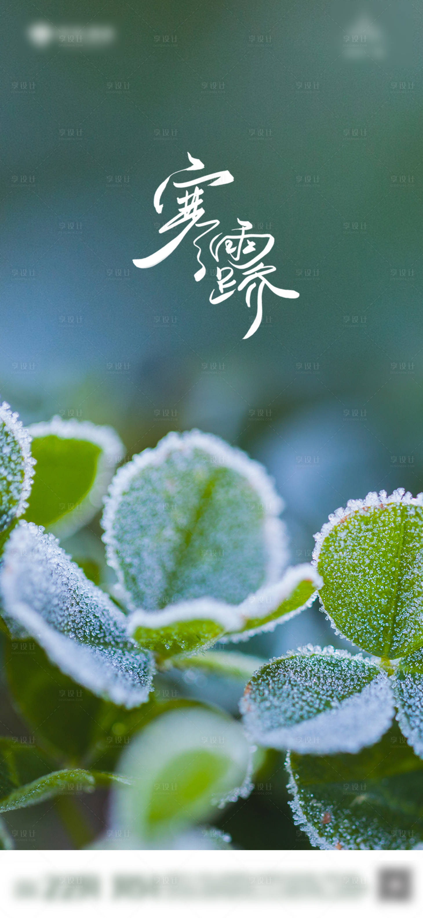 源文件下載【享設(shè)計(jì)】搜索編號(hào)：23680006667624722【地產(chǎn)綠色寒露單圖】
