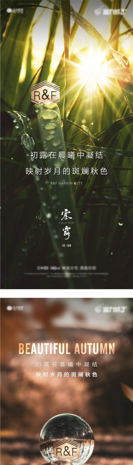 源文件下载【地产二十四节气寒露海报】编号：20210908170144616